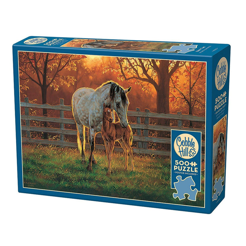 Cobble Hill - Quiet Time (500-Piece Puzzle)