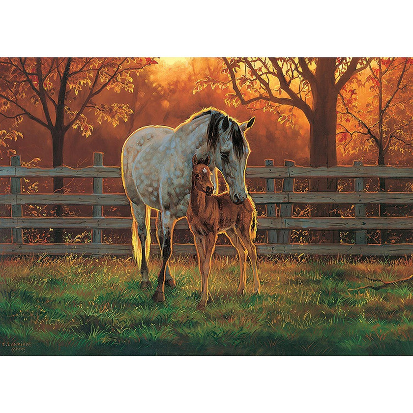 Cobble Hill - Quiet Time (500-Piece Puzzle)