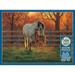 Cobble Hill - Quiet Time (500-Piece Puzzle)