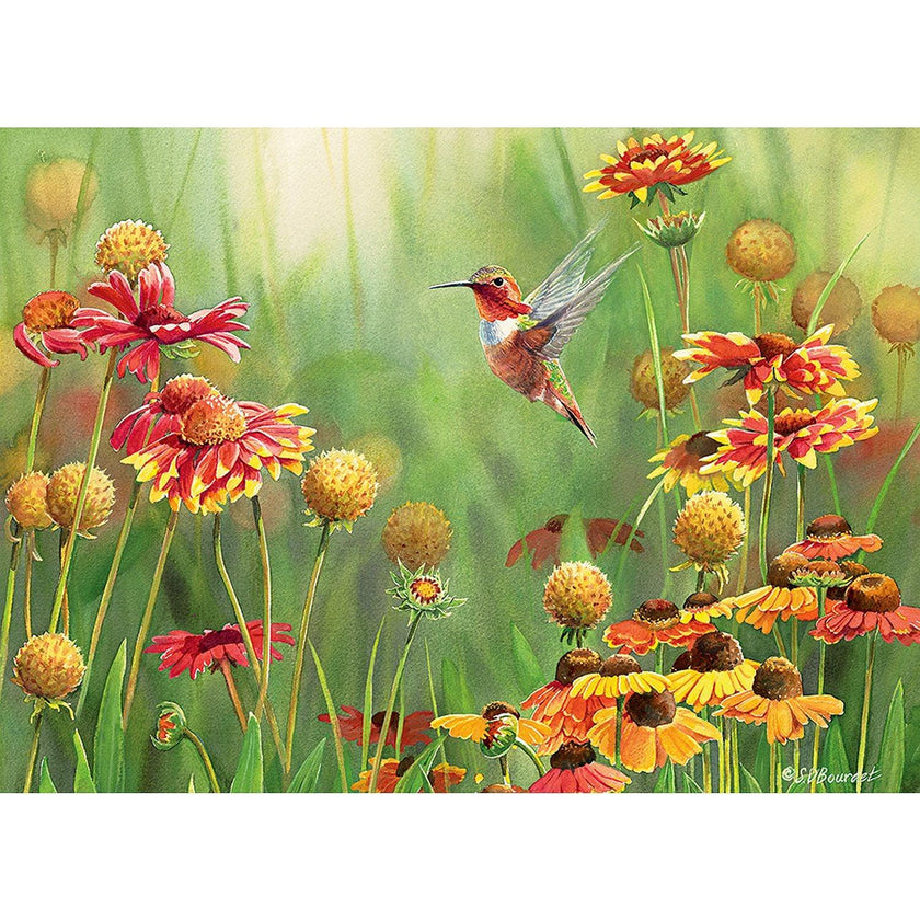 Cobble Hill - Colibri roux (Jigsaw Puzzle 500 pièces)