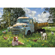 Cobble Hill - Sheep Field (1000-Piece Puzzle)