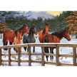 Cobble Hill - Snowy Pasture (35-Piece Puzzle Tray)