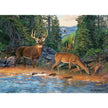 Cobble Hill - The River's Edge (1000-Piece Puzzle)