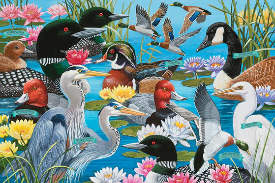 Cobble Hill - Water Birds (Floor 36pc)