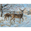 Cobble Hill - Winter Deer (500-Piece Puzzle)