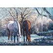 Cobble Hill - Winter's Beauty (500-Piece Puzzle)