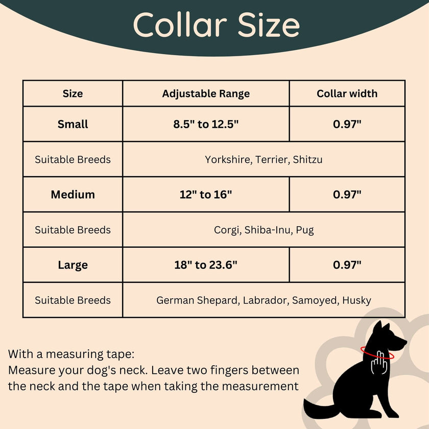 Dog Walk Combo: Collar, Leash, Dog Tag Set