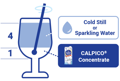 Asahi Calpico Concentrate (1L) [Best Before Date: 2027.02.03]