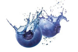 Fragrance Oil - Blueberries Splash