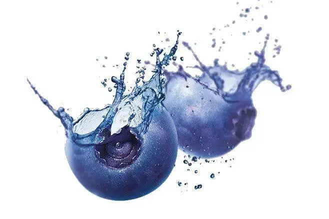 Fragrance Oil - Blueberries Splash