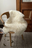 Shorn White Icelandic Sheepskin