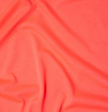 Vibrant Coral