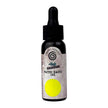 Cosmic Shimmer Andy Skinner Inkology Inks 30 ml