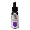 Cosmic Shimmer Andy Skinner Inkology Inks 30 ml