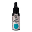 Cosmic Shimmer Andy Skinner Inkology Inks 30 ml