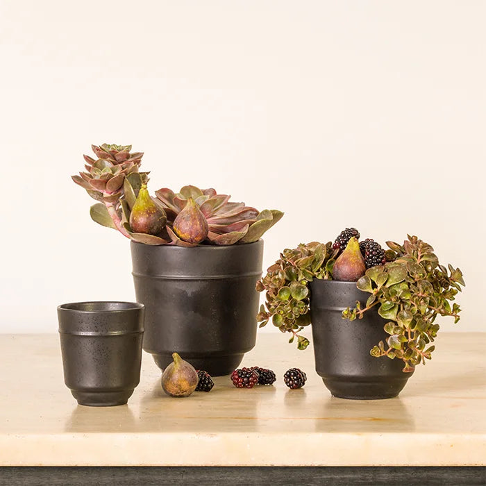 Costa Nova - Le Jardin Noir Cache Pot