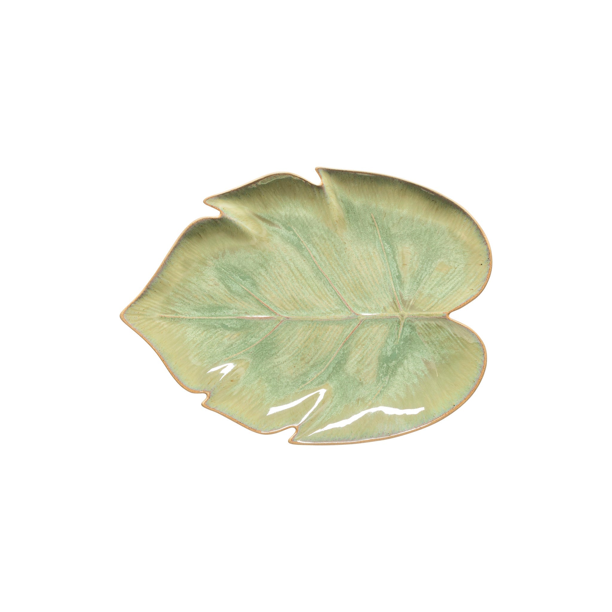 Costa Nova - Marrakesh, feuille d'eucalyptus et de monstera