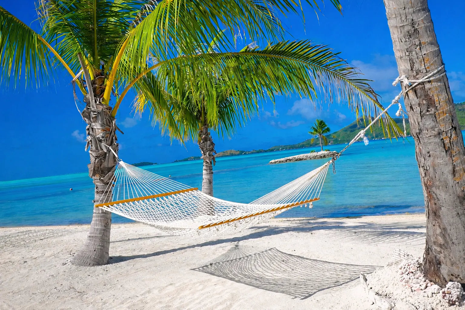 Cotton Rope Hammock - Double