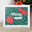 Creative Expressions Sue Wilson Merry Craft Die & Stamp Set