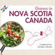 Cranberry Powder 150 g - Made in Canada
