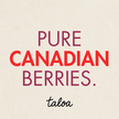 Cranberry Powder 150 g - Made in Canada
