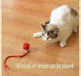 Pet Vibrating Bouncing Ball Toy with Tail