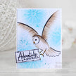 Creative Expressions Bonnita Moaby Stay Wild A5 Clear Stamp Set