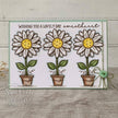 Creative Expressions Sam Poole Daisy Bloom 6 in x 4 in Clear Stamp Set
