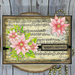 Creative Expressions Jane's Doodles Poinsettia 6 in x 8 in Clear Stamp Set