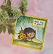Creative Expressions Designer Boutique Over The Hedge 6 in x 4 in Stamp Set