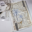 Creative Expressions Jane Davenport Facetime 6 in x 8 in Clear Stamp Set