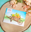 Creative Expressions Jane's Doodles Apple Pumpkin Spice 6 in x 8 in Clear Stamp Set