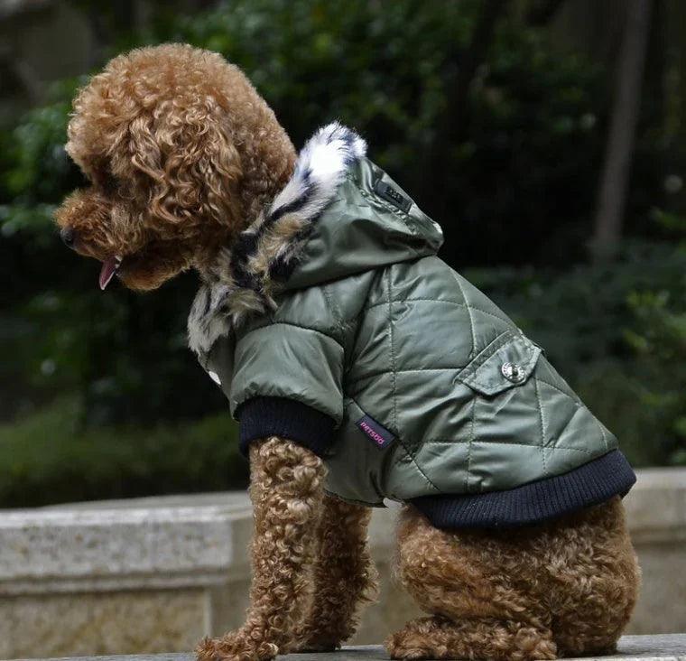 Dog Winter Fur Collar Parka Coat – Multi-Colour | XS–2XL