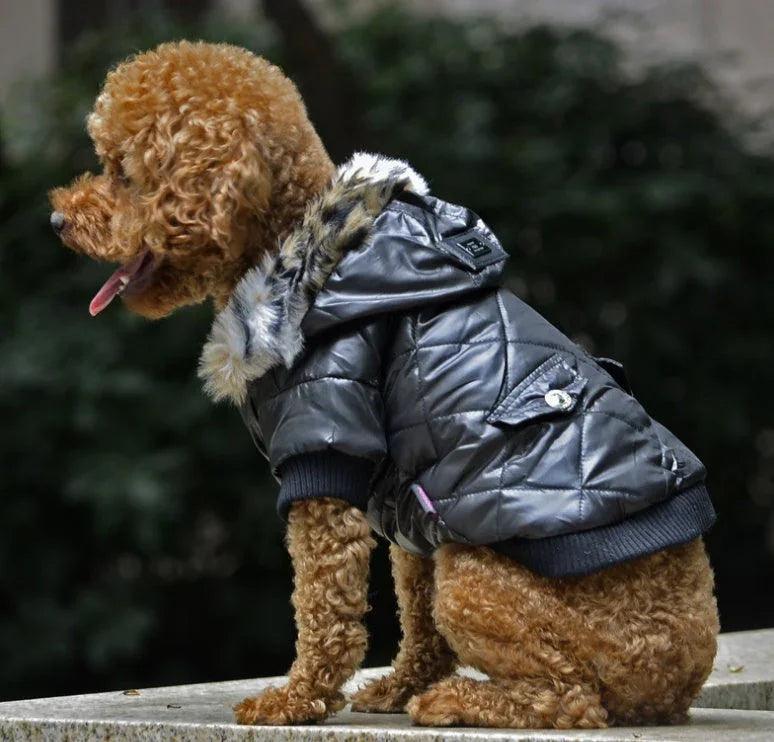 Dog Winter Fur Collar Parka Coat – Multi-Colour | XS–2XL