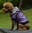 Dog Winter Fur Collar Parka Coat – Multi-Colour | XS–2XL