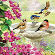 Crystal Art - CA Card - Birds