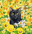 Crystal Art - CA Card - Cat Among the Flowers