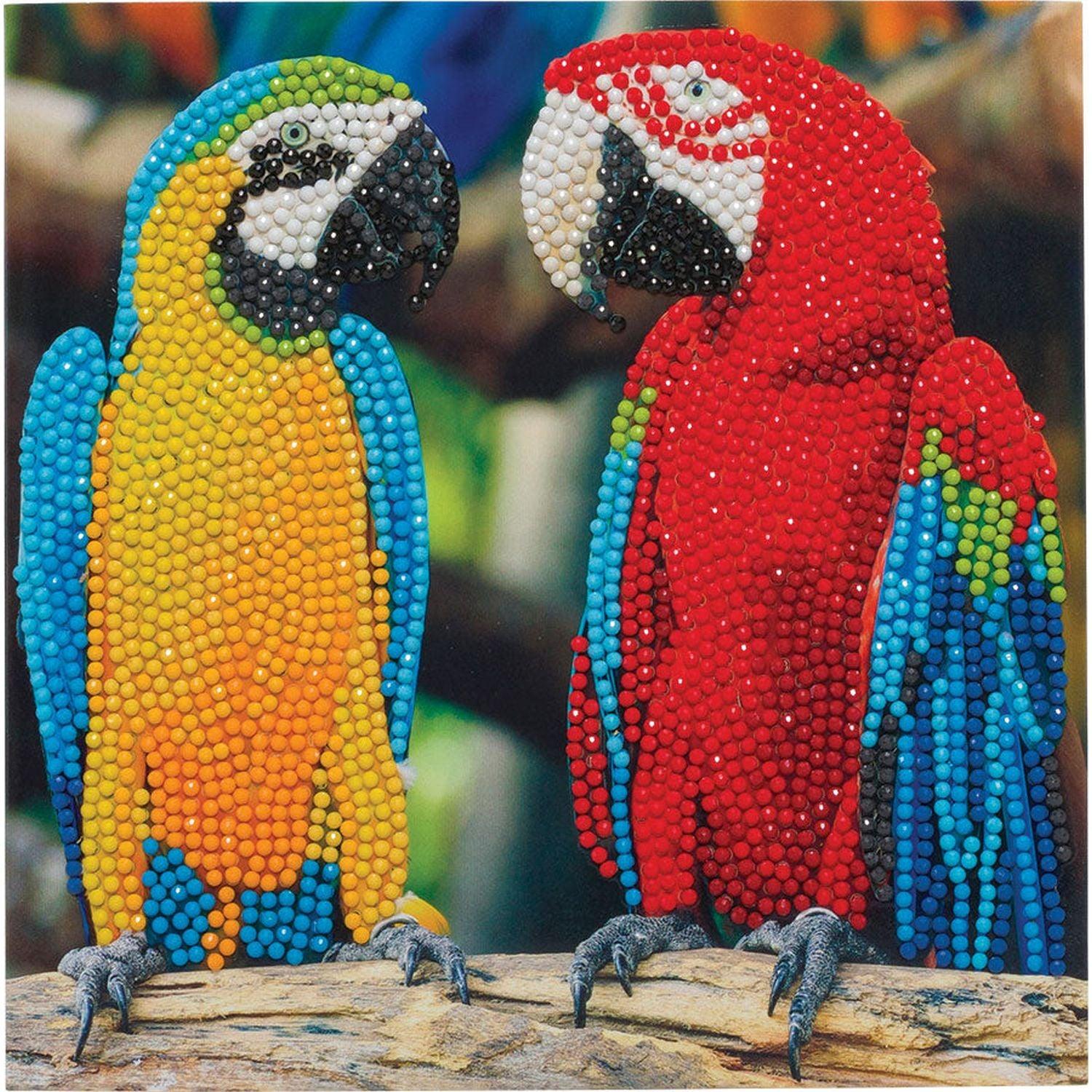 Crystal Art - CA Card - Parrot Friends
