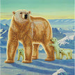Crystal Art - Carte CA - Famille Polaire