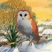 Crystal Art - Carte CA - Hibou d'hiver