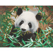 Crystal Art - CA Kit (Large) - Hungry Panda