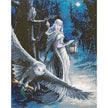 Crystal Art - CA Kit (Large) - Midnight Messenger