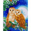 Crystal Art - Kit CA (Grand) - Moonlight Perch