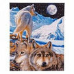 Crystal Art - CA Kit (Large) - The Sentinel