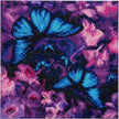 Crystal Art - CA Kit (Medium) - Blue Violet Butterflies