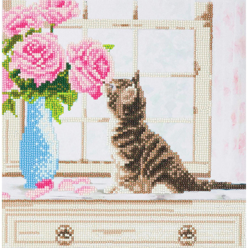Crystal Art - CA Kit (Medium) - Cat