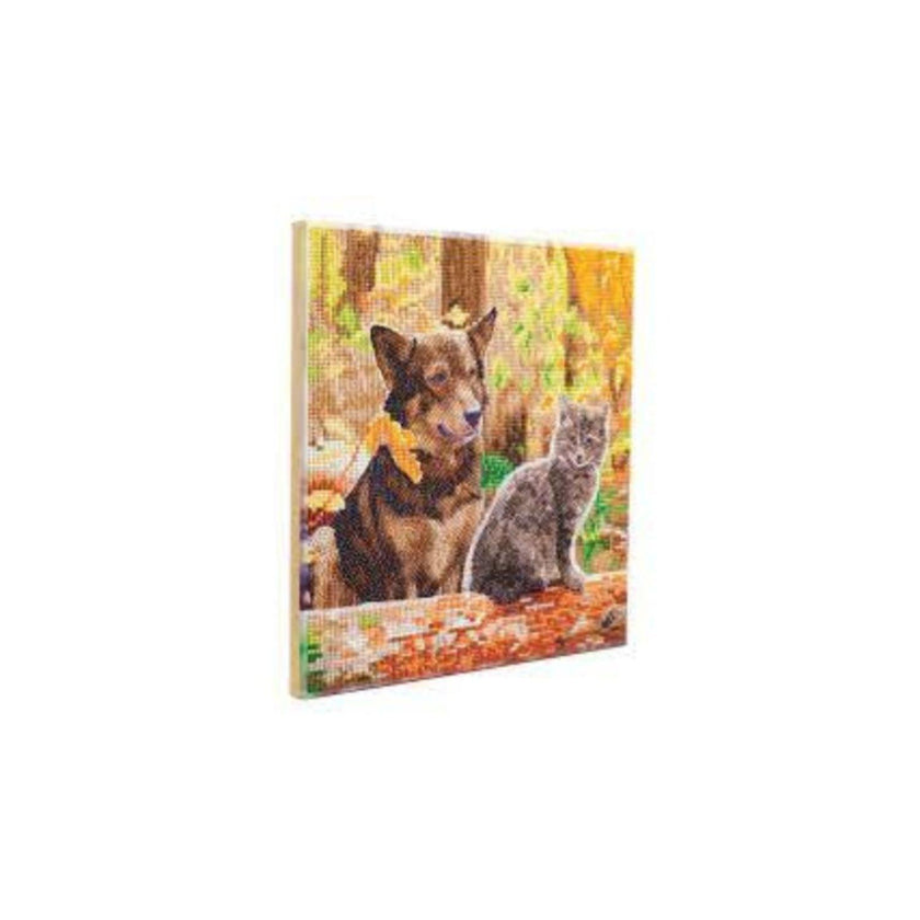 Crystal Art - CA Kit (Medium) - Cat and Dogin the Woods