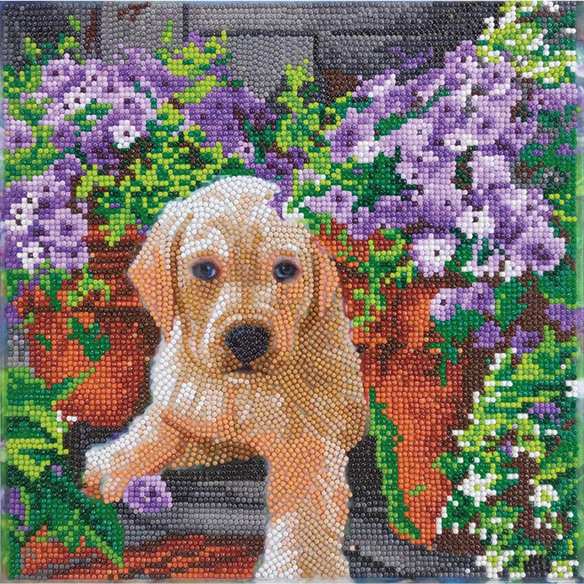 Crystal Art - CA Kit (Medium) - Floral Pup