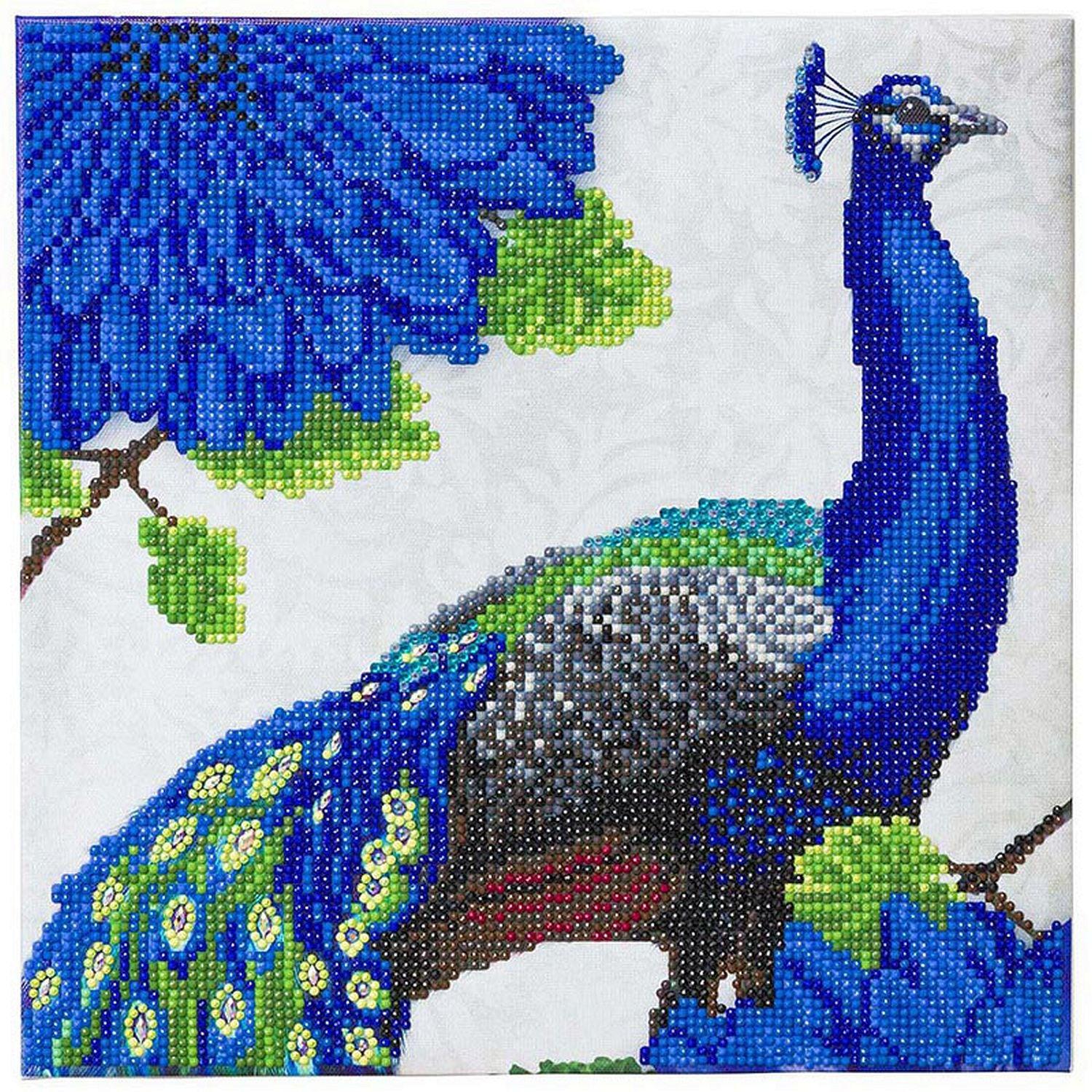 Crystal Art - CA Kit (Medium) - Flowering Peacock