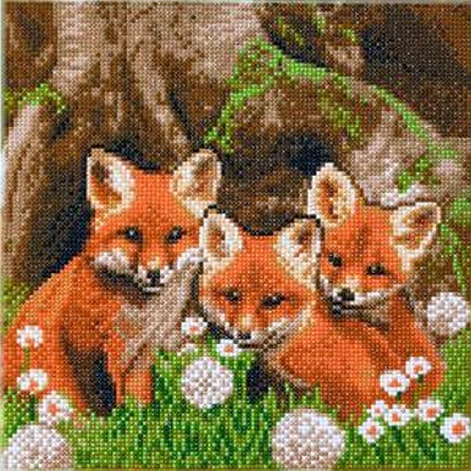 Crystal Art - Kit CA (Moyen) - Fox Cubs